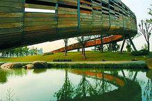 世博園[上海世博園]