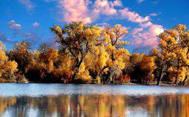 阿瓦提縣 阿瓦提縣