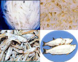 太湖四寶 太湖四寶