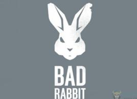壞兔子 壞兔子