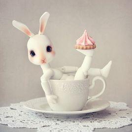 瑪麗蓮萌兔 瑪麗蓮萌兔