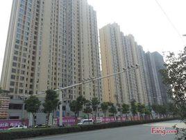 西環中心廣場 西環中心廣場