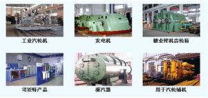 杭州汽輪動力集團有限公司生產的產品