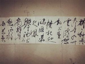 鷓鴣天·拂袖寒冬望九州 鷓鴣天·拂袖寒冬望九州