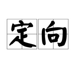 定向[詞語釋義]