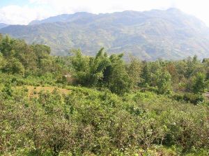 馬鹿山自然村 馬鹿山自然村
