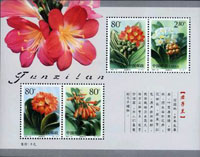 採用螢光纖維紙和異形孔防偽技術印製而成，同時還採用了