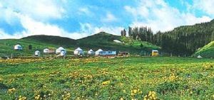 鞏留恰西國家森林公園 鞏留恰西國家森林公園