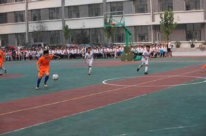 石家莊市足球改革發展實施方案 石家莊市足球改革發展實施方案