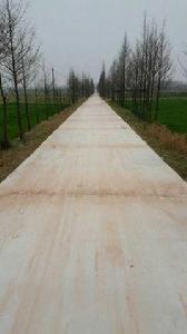 李長店村 李長店村