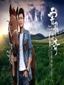 雲飛[漢語詞語]