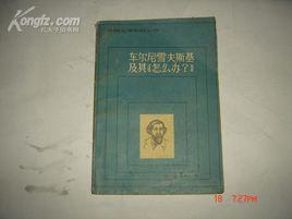 車爾尼雪斯基 車爾尼雪斯基