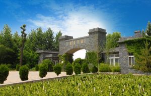 梅卡莊園(煙臺)葡萄酒有限公司 梅卡莊園(煙臺)葡萄酒有限公司