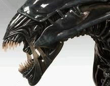 異形大戰鐵血戰士