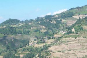 中山自然村 中山自然村