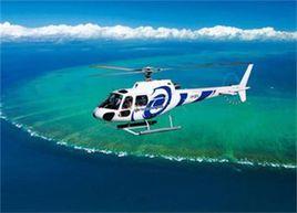 葉素理論 葉素理論