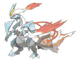 白色酋雷姆 白色酋雷姆