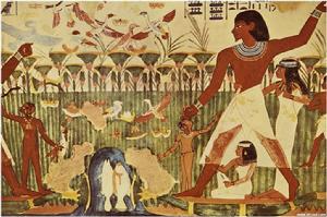 側面正身律 側面正身律