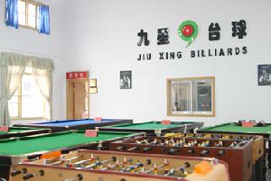 九江市九星檯球有限公司