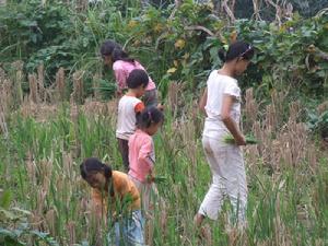 大堰自然村[以勒鎮瓜果村委會下轄自然村]