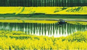 荊門煉油廠潛江農場 荊門煉油廠潛江農場