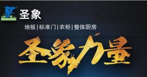 聖象力量 聖象力量