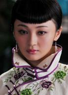 護國大將軍[2011年王文杰執導電視劇]