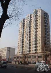 藍籌七彩陽光 藍籌七彩陽光