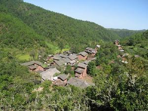 濫倒樹村 濫倒樹村