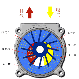 水環式真空泵