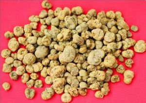 延胡索提取物 延胡索提取物