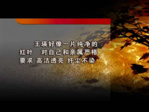 永不凋謝的紅葉 永不凋謝的紅葉