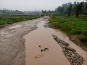 陳家鎮鄉 陳家鎮鄉