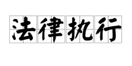 法律執行 法律執行