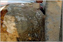 九龍橋殘破的龍頭