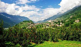 亞寒帶針葉林氣候