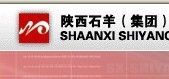 陝西石羊(集團)股份有限公司 陝西石羊(集團)股份有限公司