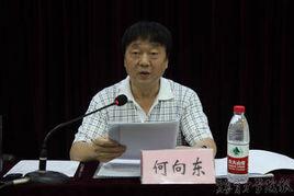 何向東[西南大學教授]