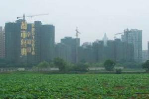 都市經典·卓錦園 都市經典·卓錦園