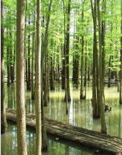 將軍山[安徽省太湖縣將軍山]