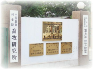 中國農業科學院畜牧研究所