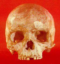 柳江人頭骨