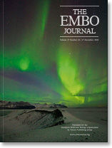 《THE EMBO JOURNAL》 《THE EMBO JOURNAL》
