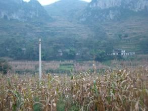 發貢寨自然村 發貢寨自然村