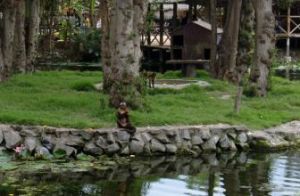 拉斯萊延達斯公園 拉斯萊延達斯公園