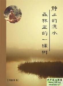 靜止的流水 靜止的流水