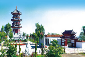 龜山文化園 龜山文化園