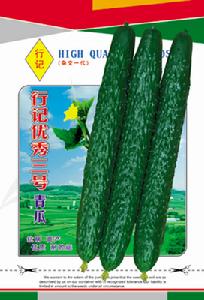 行記優秀三號青瓜