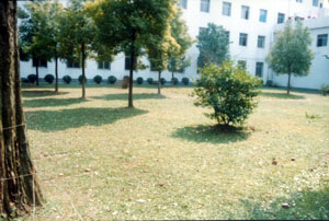 （圖）公安縣人民醫院