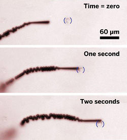 納米火箭 納米火箭